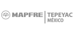 Logo gris du prix Mapfre pour Gamelearn 
