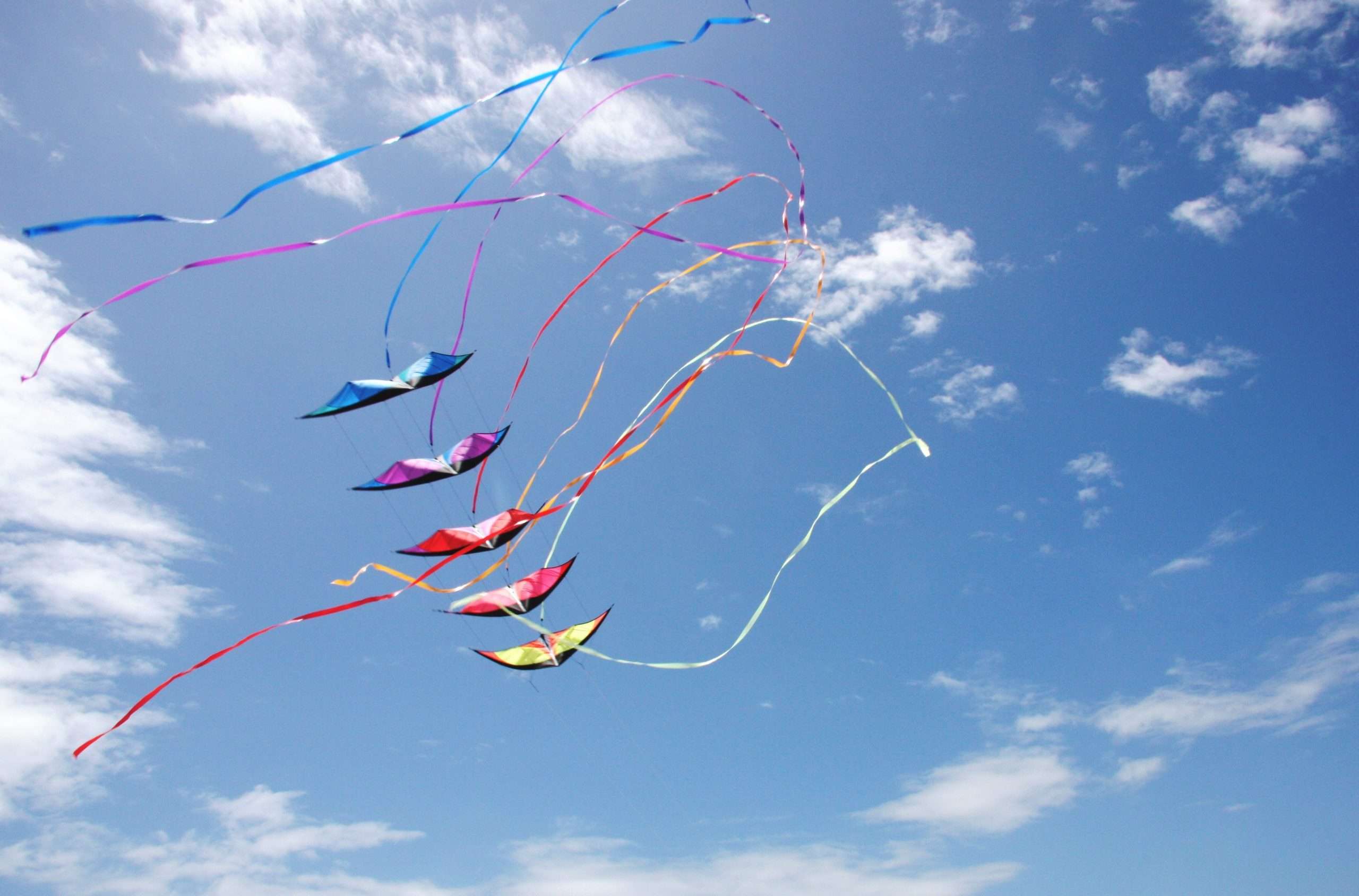 воздушный змей его полет высок. воздушный змей его полет высок. воздушный змей в небе. мужчина запускает воздушного змея. воздушный змей его полет высок.