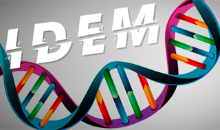 Idem | Gamelearn
